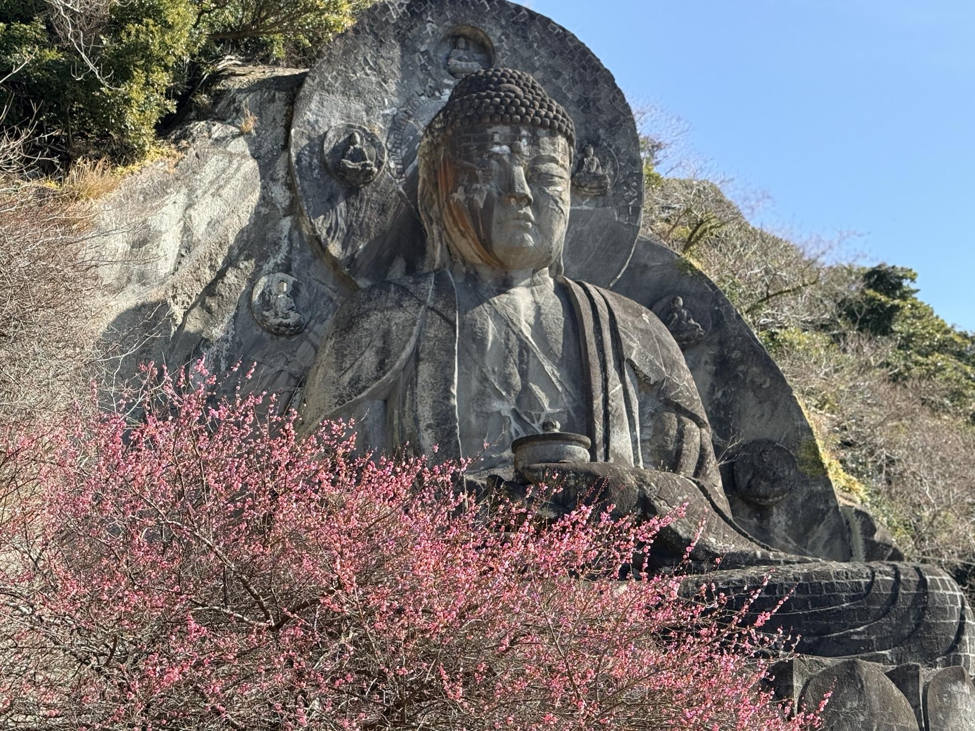 鋸山 日本寺 梅と大仏のコラボ