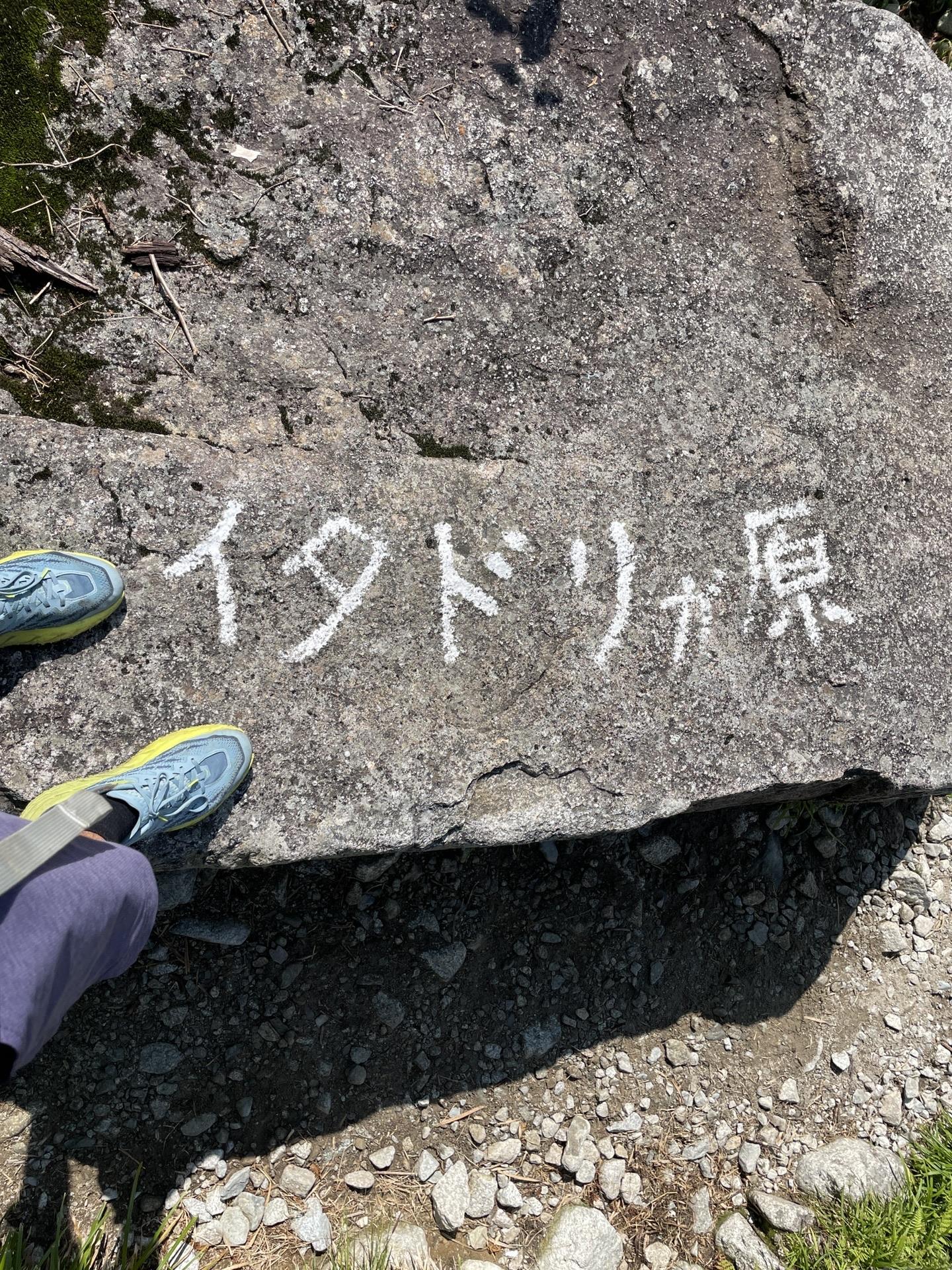 HOKA SPEEDGOAT 5 イタドリヶ原にて 足元写真