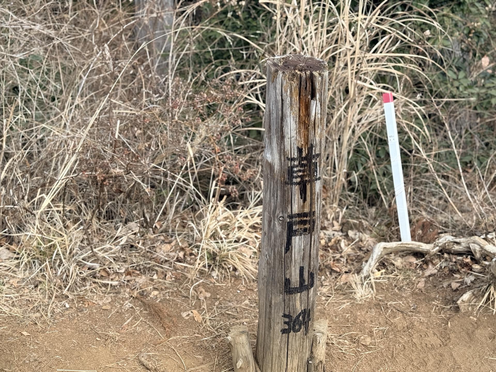 草戸山 山頂 登山者 賑わい 人気