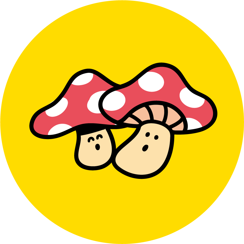 きのちゃん