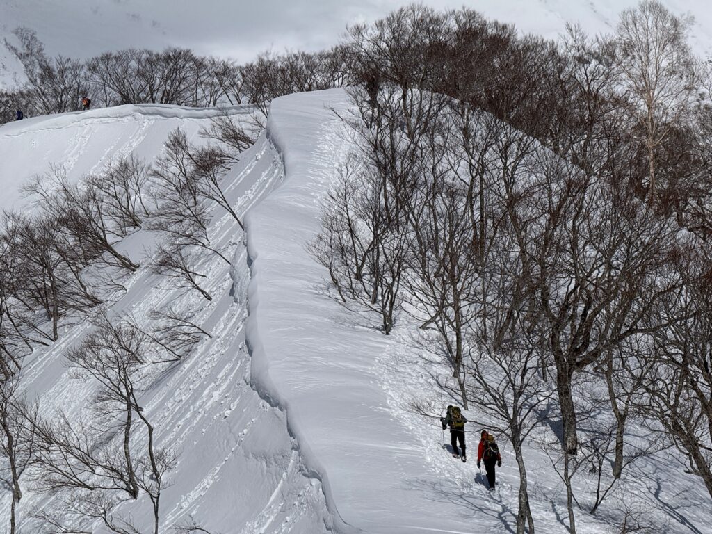谷川岳 雪庇 天神尾根 注意