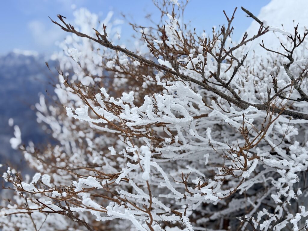 谷川岳 樹氷 天神尾根 霧氷 きれい