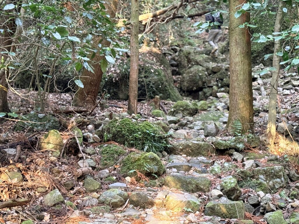 黒髪山 整備された石段
