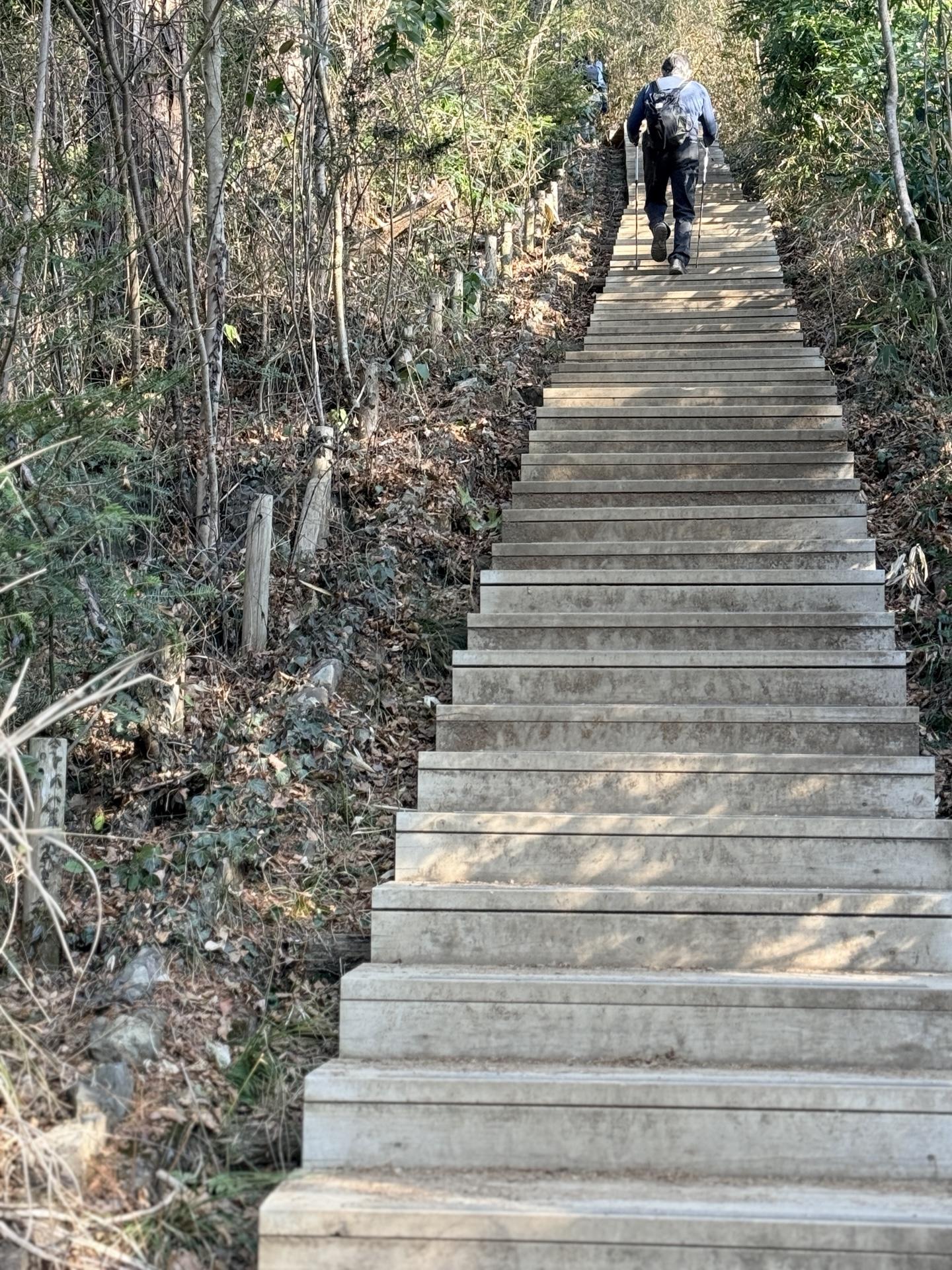 稲荷山コース 階段地獄