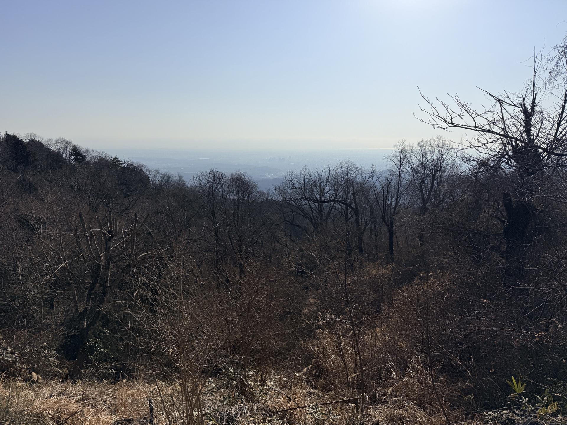 高尾山山頂から都心方面