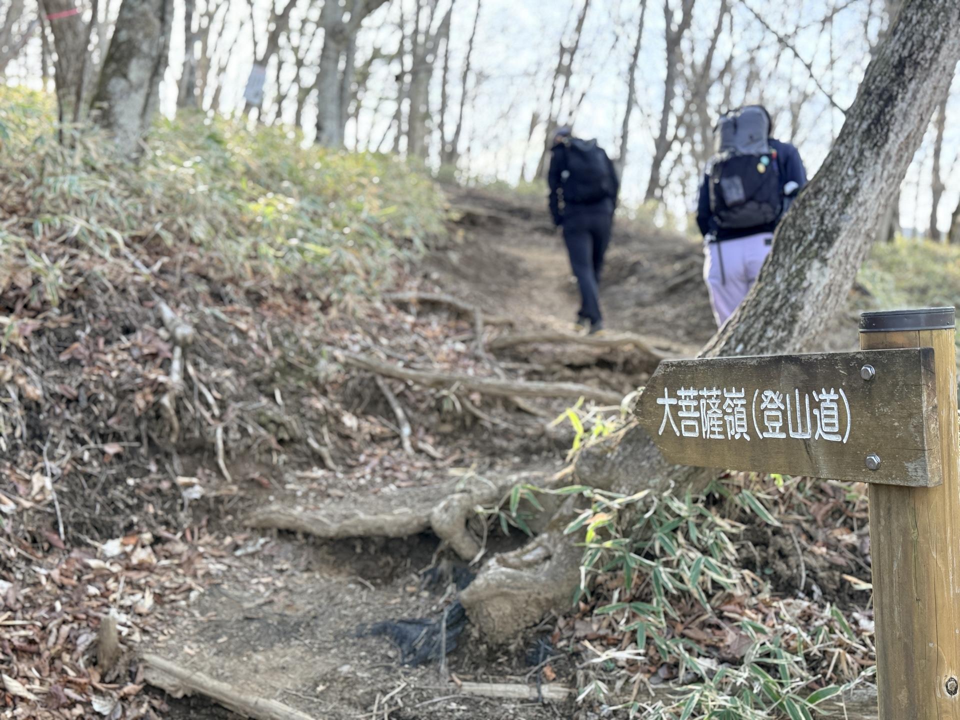 登山道を歩いて福ちゃん荘へ
