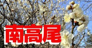 南高尾 春のトレラン完全ガイド