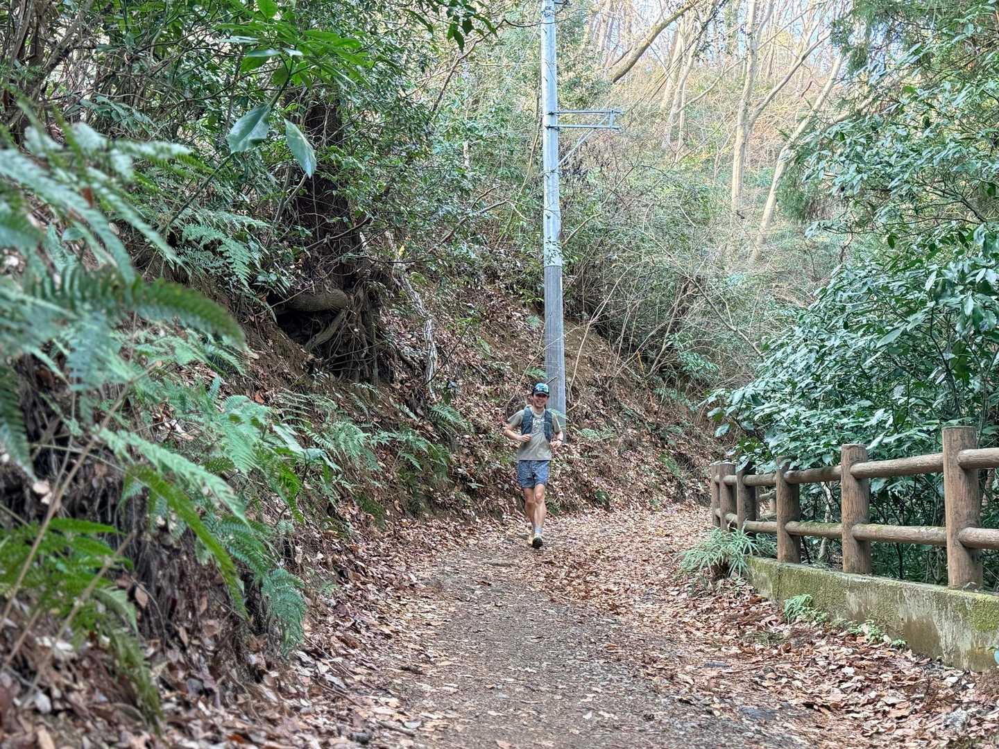 南高尾 城山湖 下り ルート