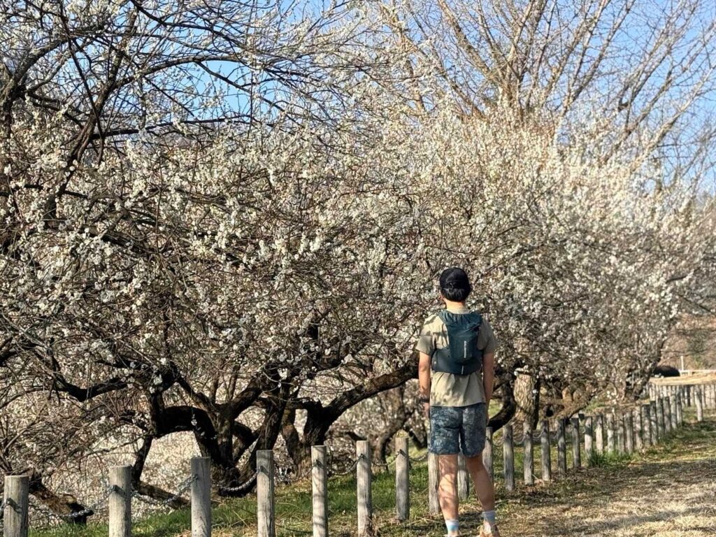 本沢梅園