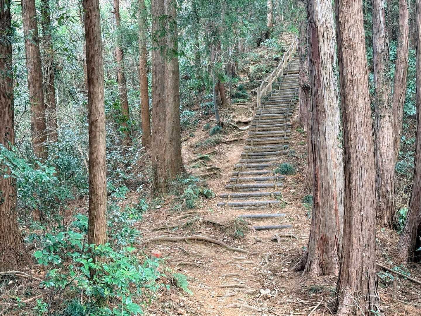 南高尾 草戸山 急な階段 登山