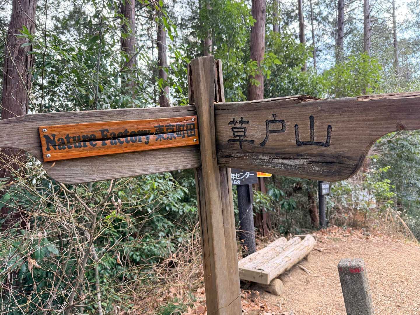 南高尾 草戸山 ルート 初めて アプローチ