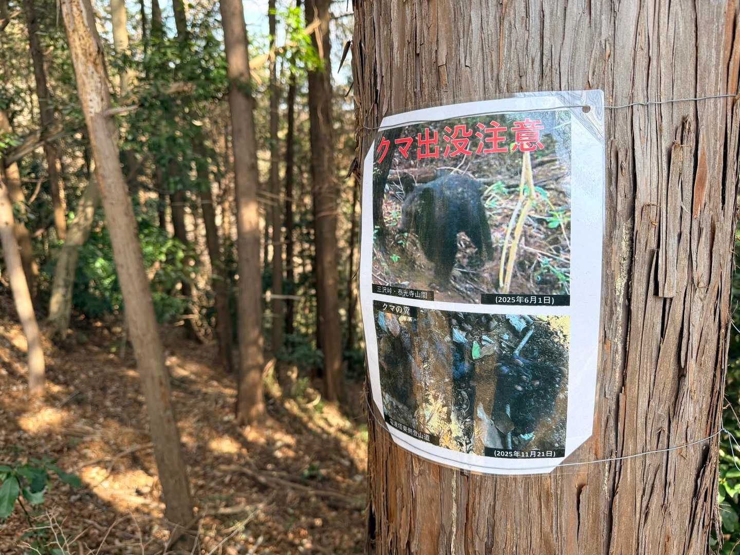 南高尾 草戸山 熊 出没 注意 看板
