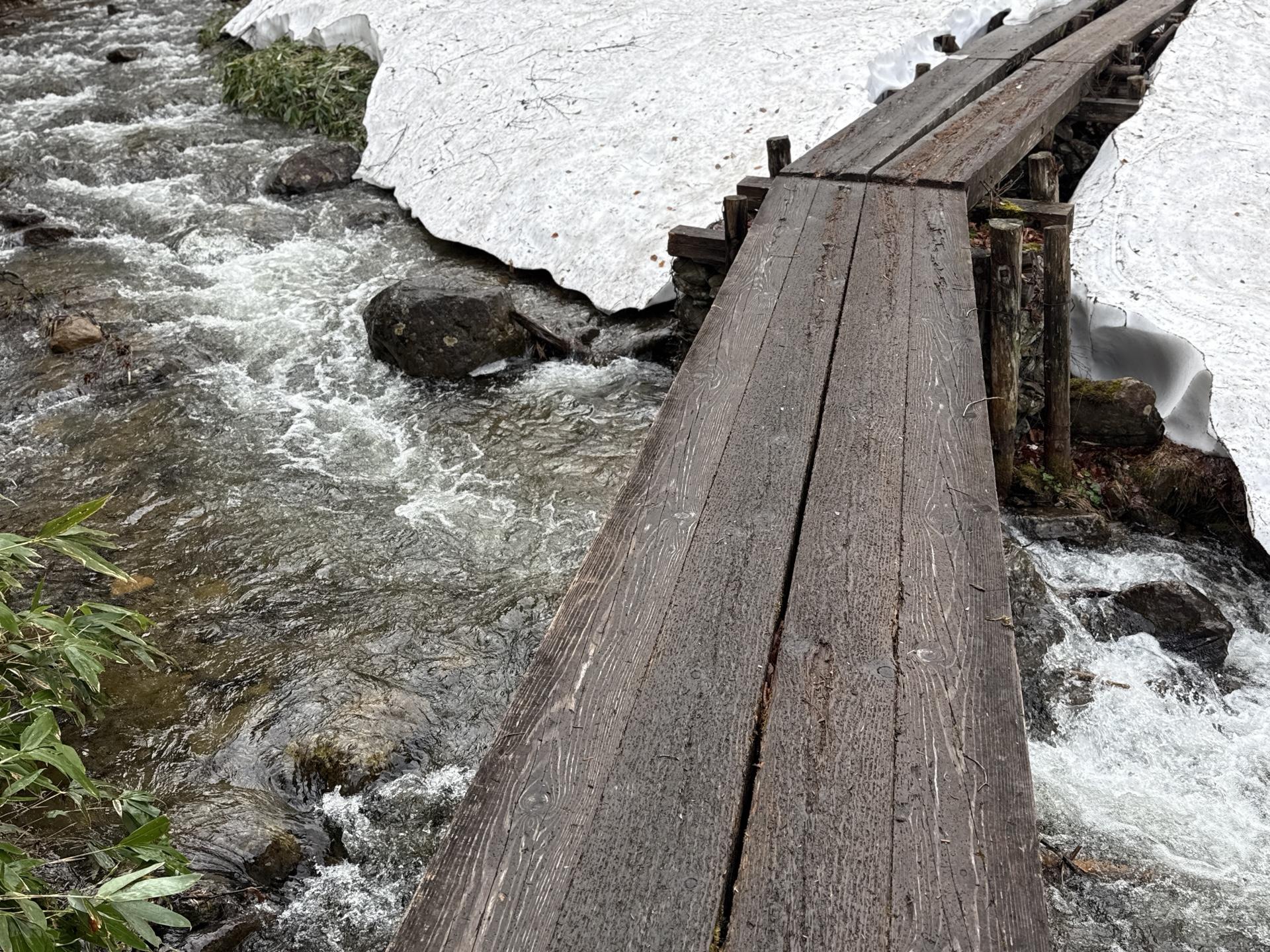 尾瀬 雪解け 増水 丸木橋 沢