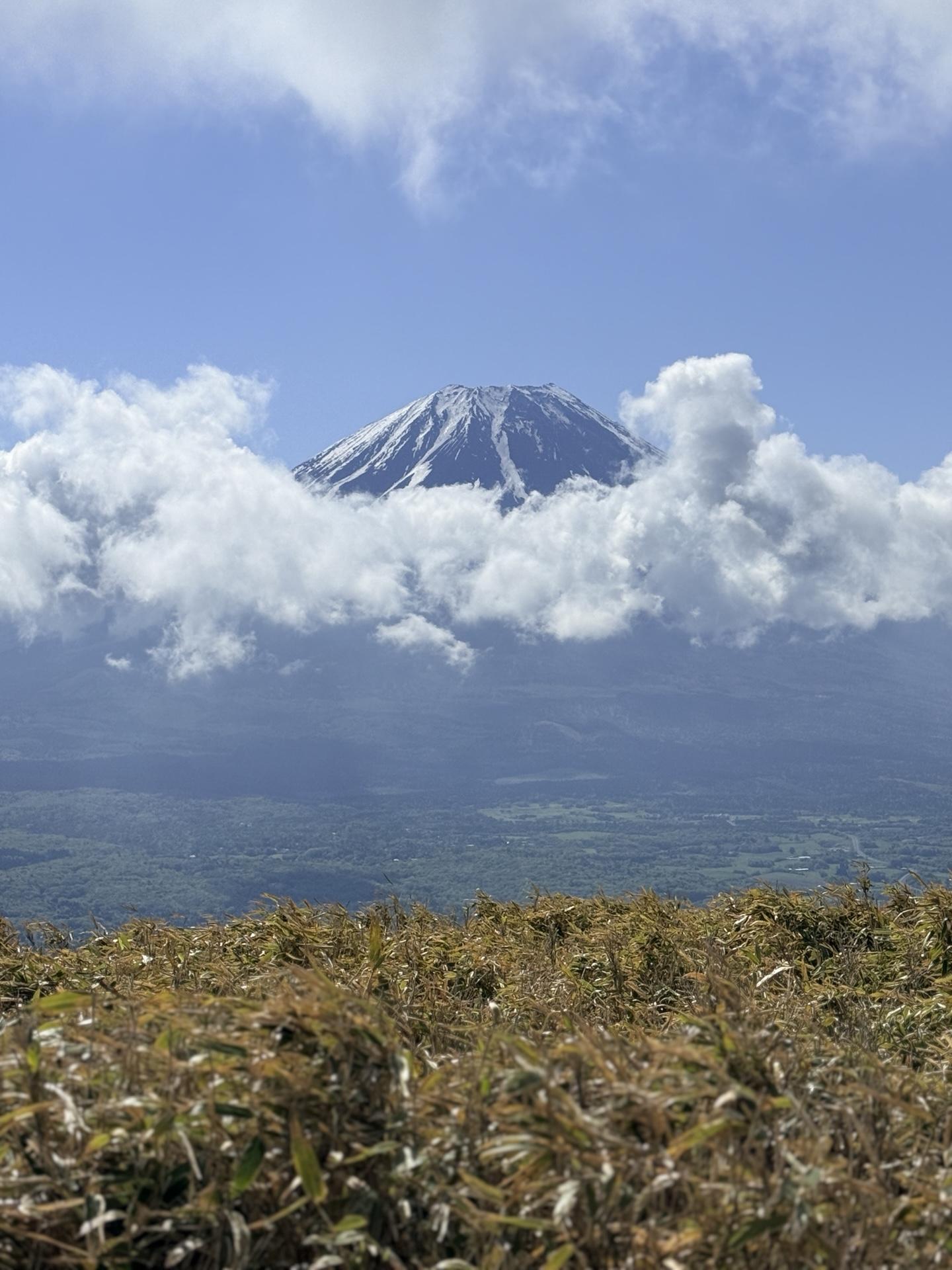 笹原に出てきたと思ったらいきなり富士山がお出迎え🗻 周りの雲もまた素敵じゃないか