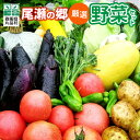 尾瀬の郷 野菜セット 野菜 詰め合わせ 季節の野菜 旬の野菜 旬野菜 群馬県産 片品村