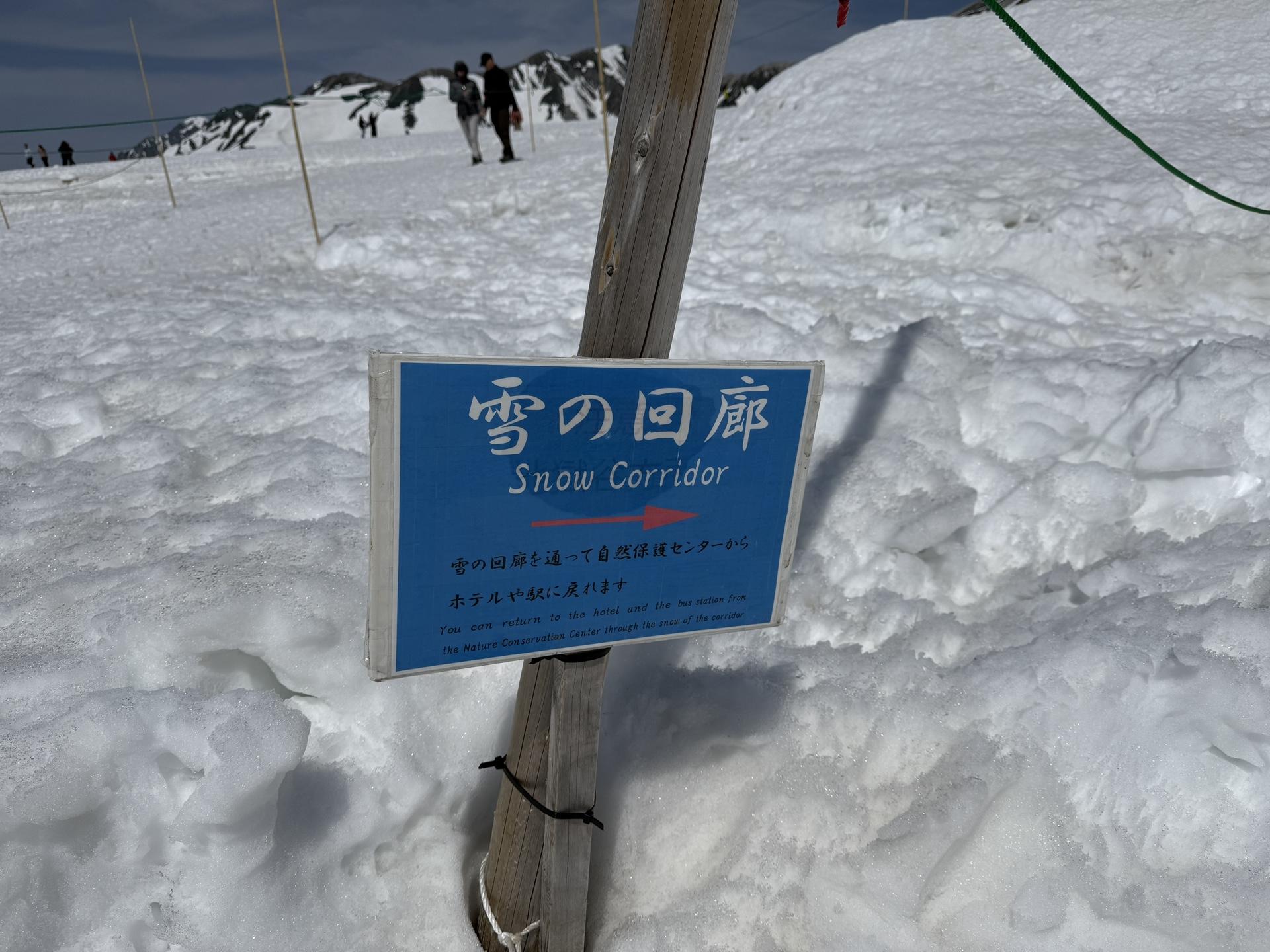 室堂ターミナルに戻ってきたので、雪の回廊へ