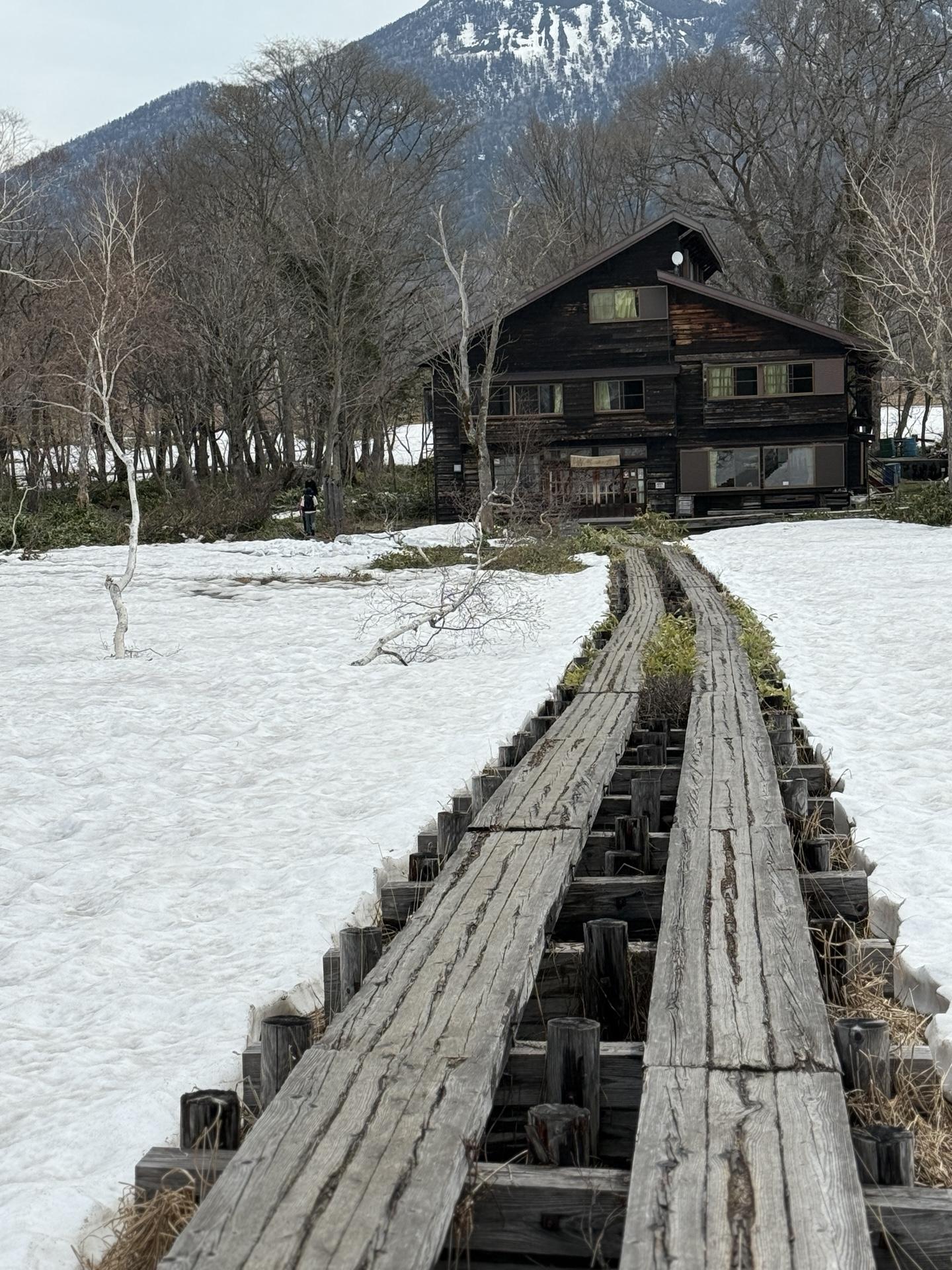尾瀬 竜宮小屋 木道 雪 通過