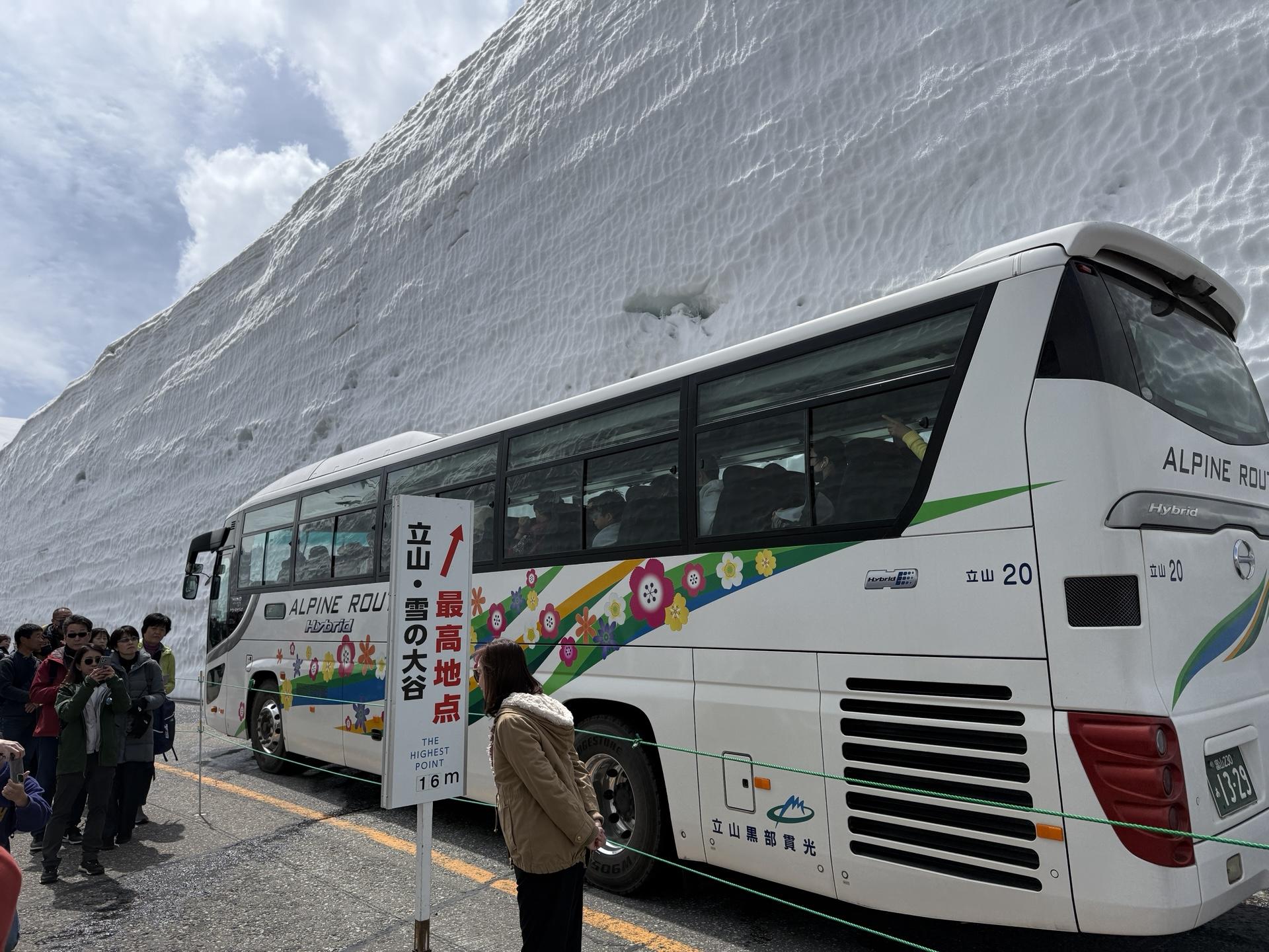 バスと比べてもこの高さ