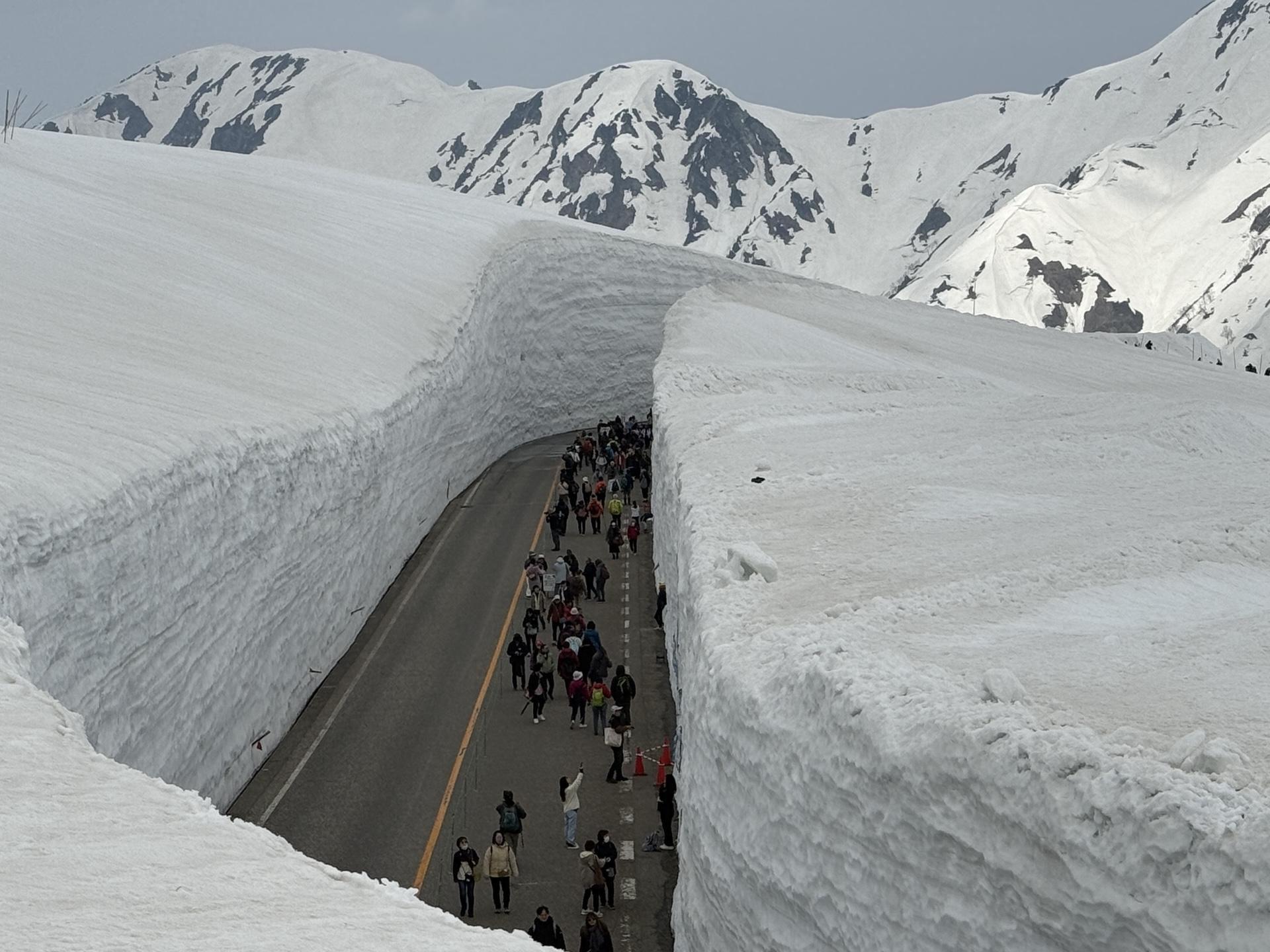 上から眺める雪の大谷。ちょっと回るけどここから見てほしい