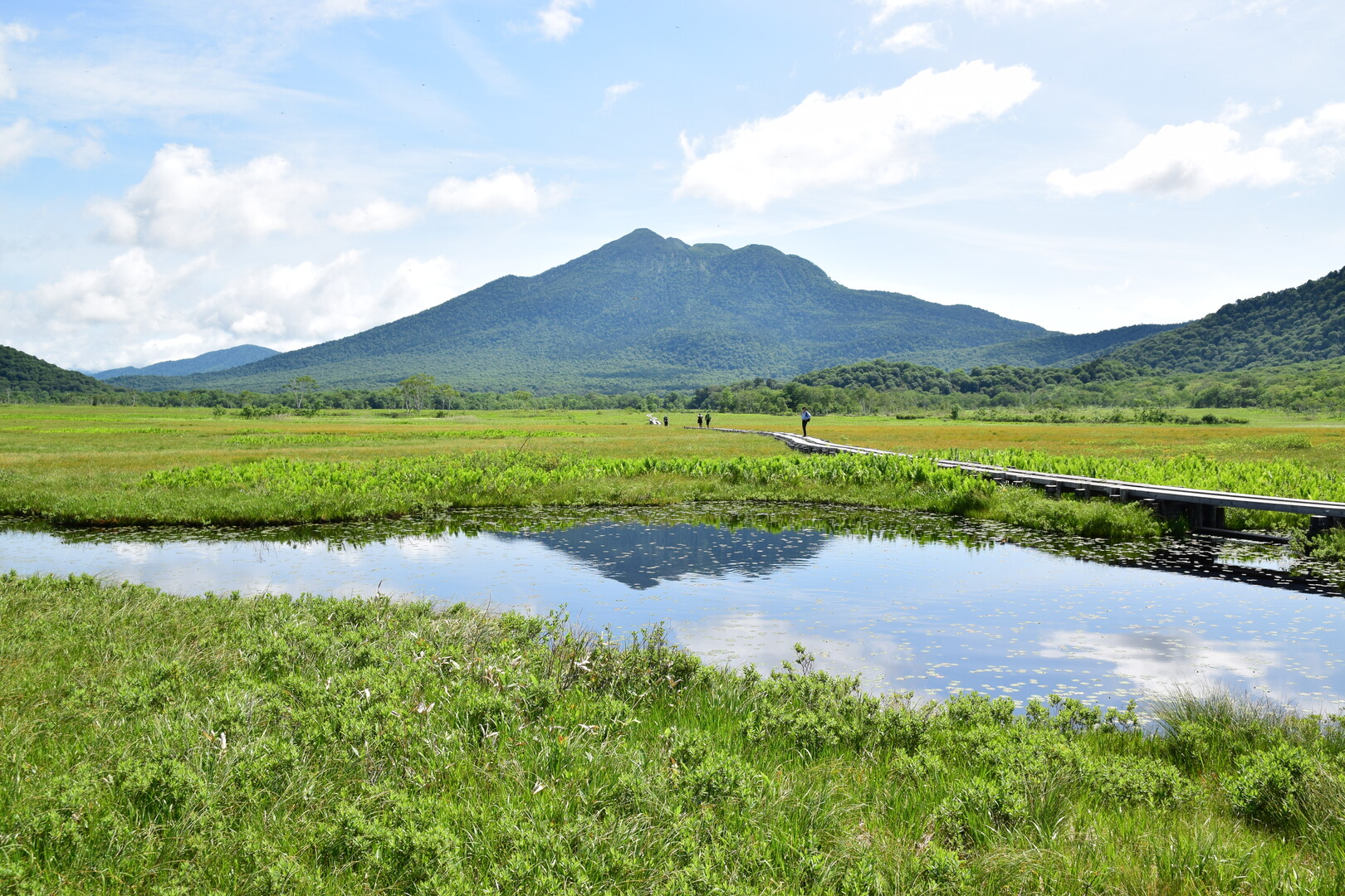 尾瀬ヶ原 夏の景色 燧ヶ岳 木道