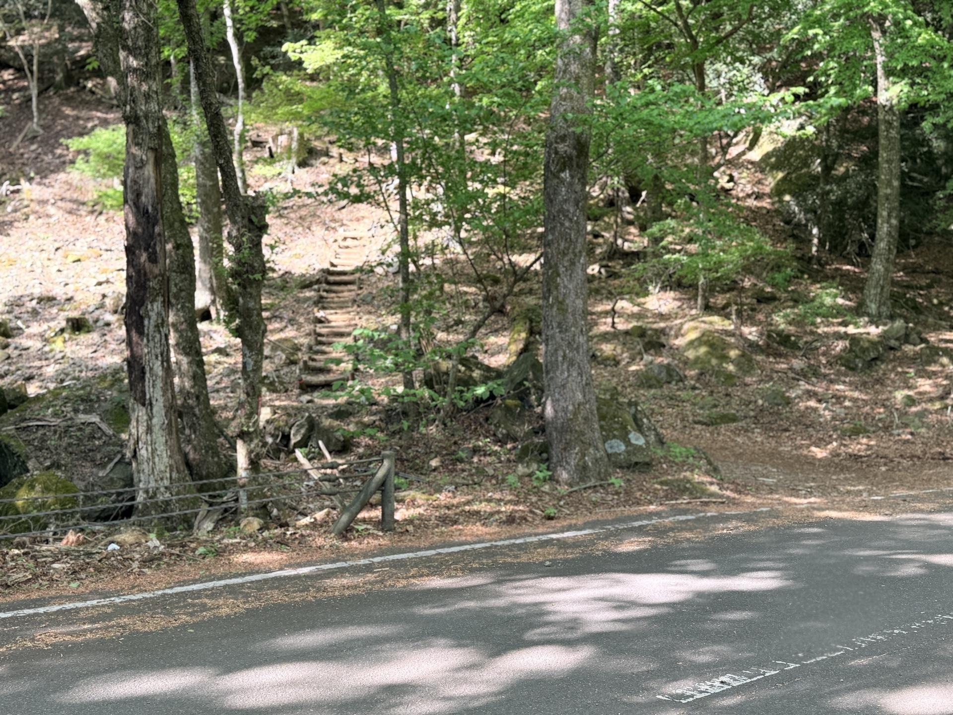 道路脇のここから入山していく 正面に見えている木段を登っていく ただ、登山口のように分かりやすい看板