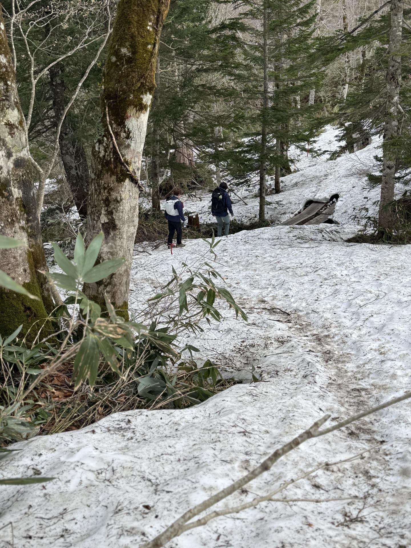 尾瀬 鳩待峠 山の鼻 雪道 登山者
