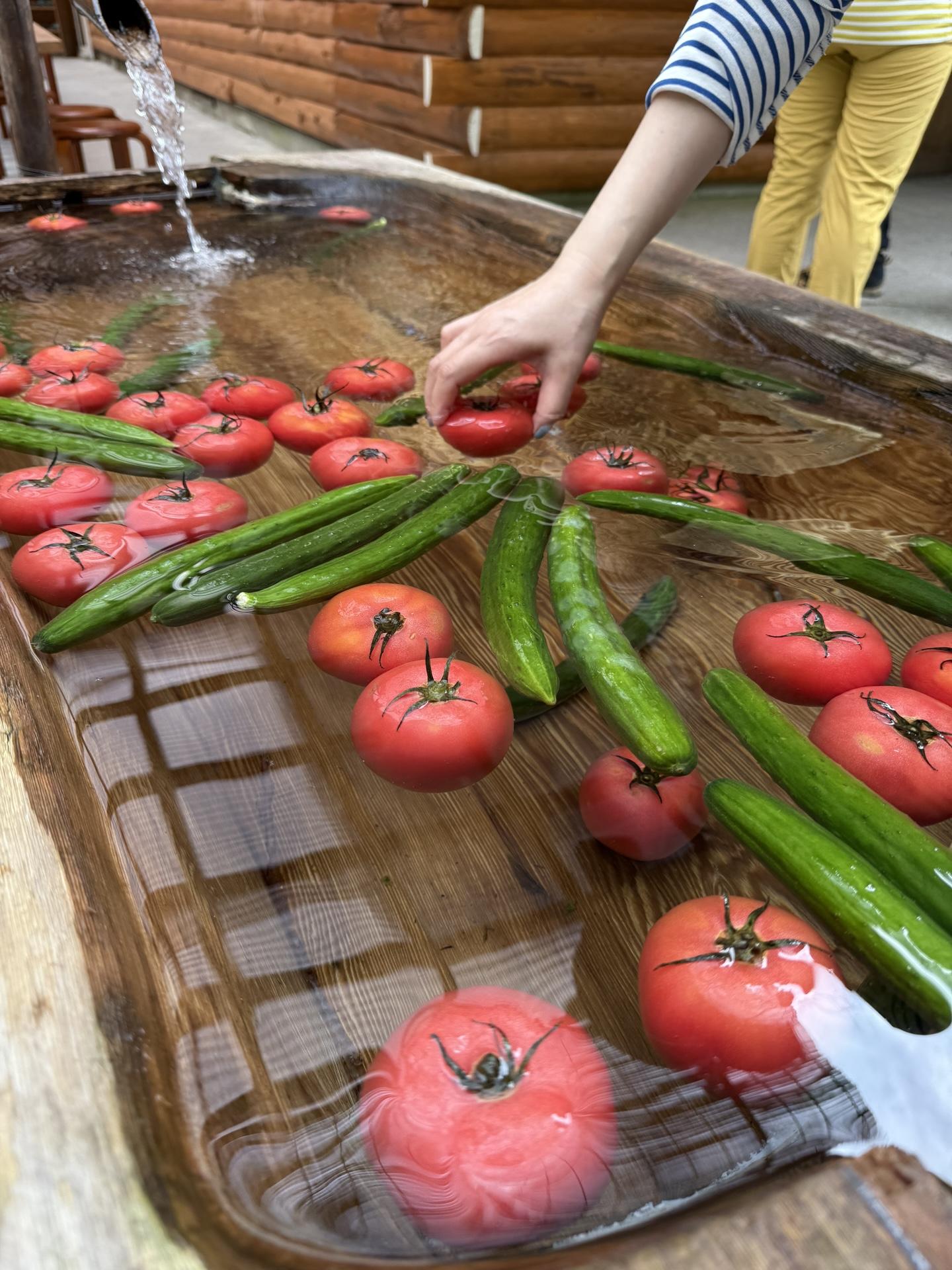 わさび平到着