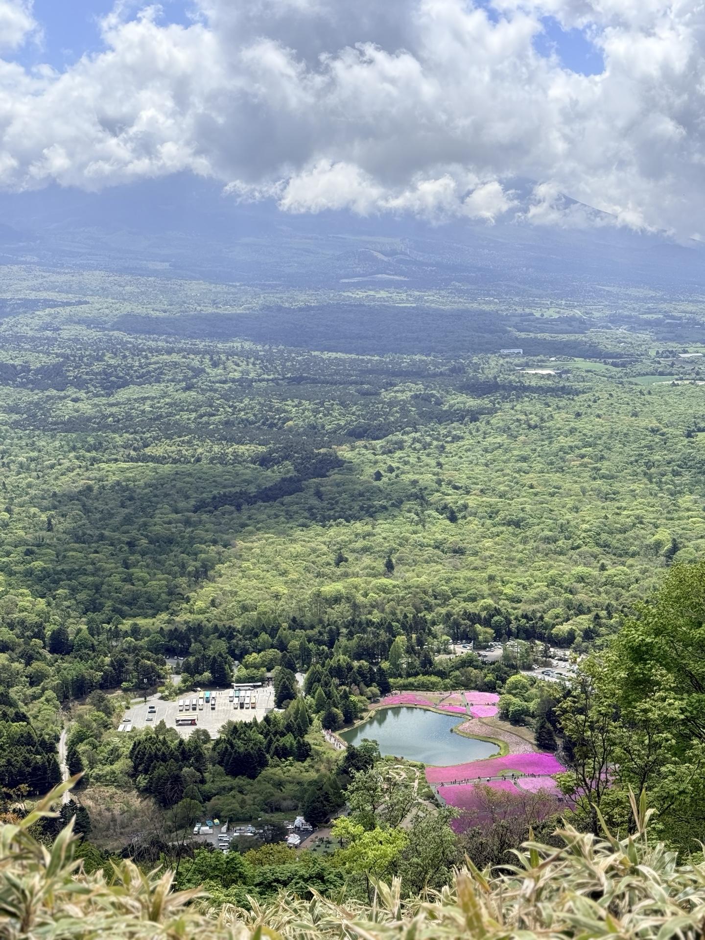 芝桜と富士山がセットで見える絶景ポイント(縦構図)