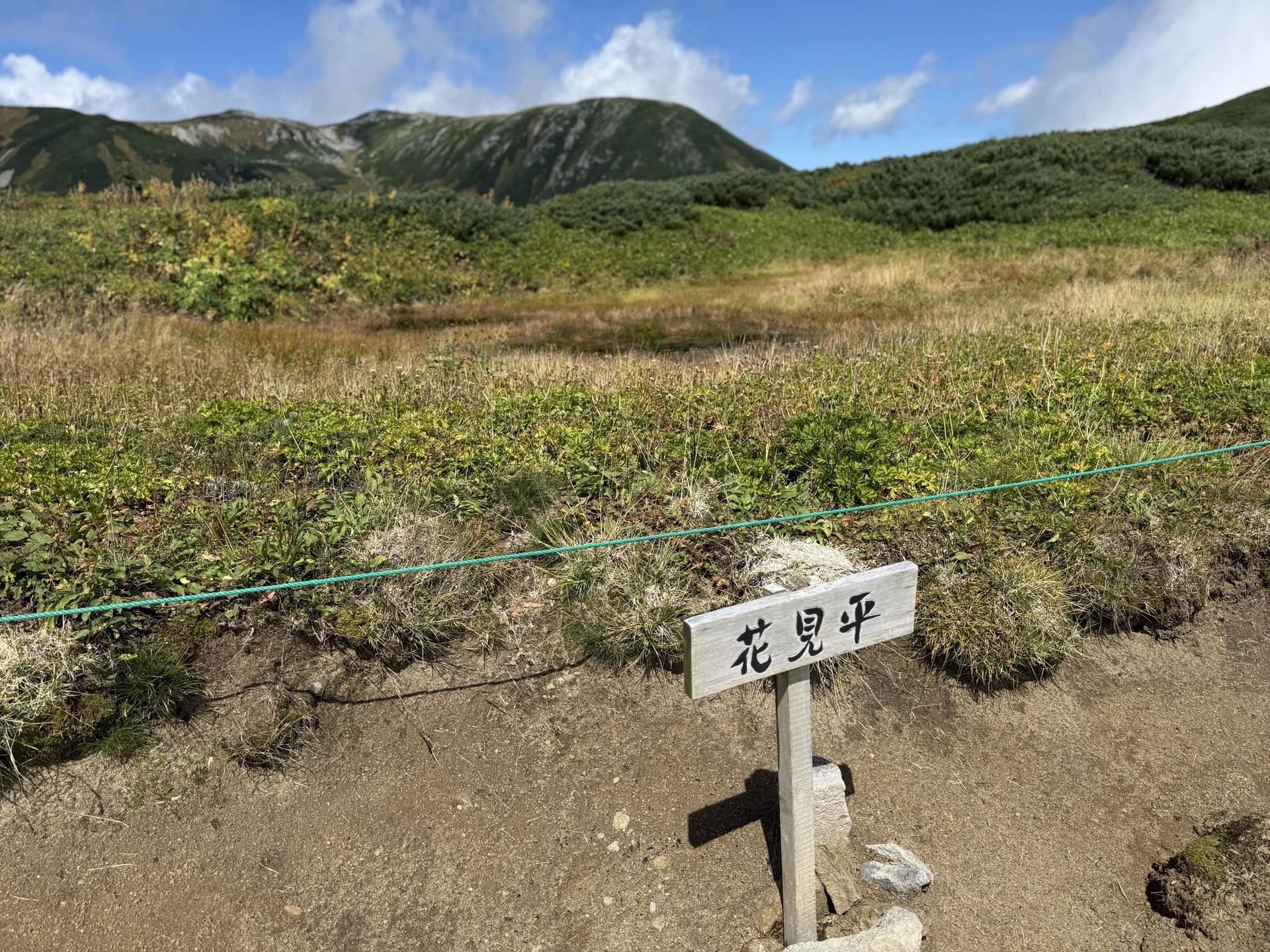 花見平のお花