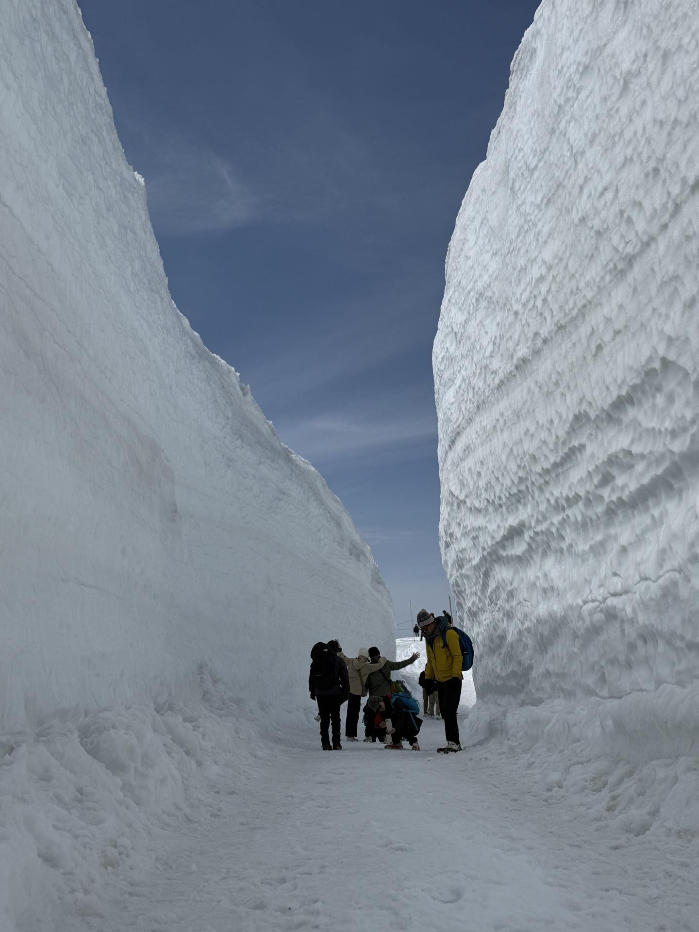 結構高い雪の壁