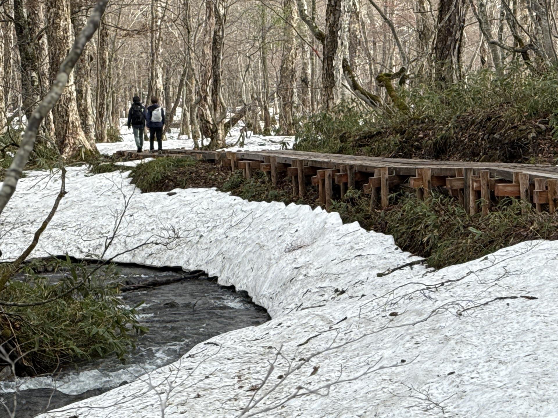 尾瀬 木道 雪 小川 2名
