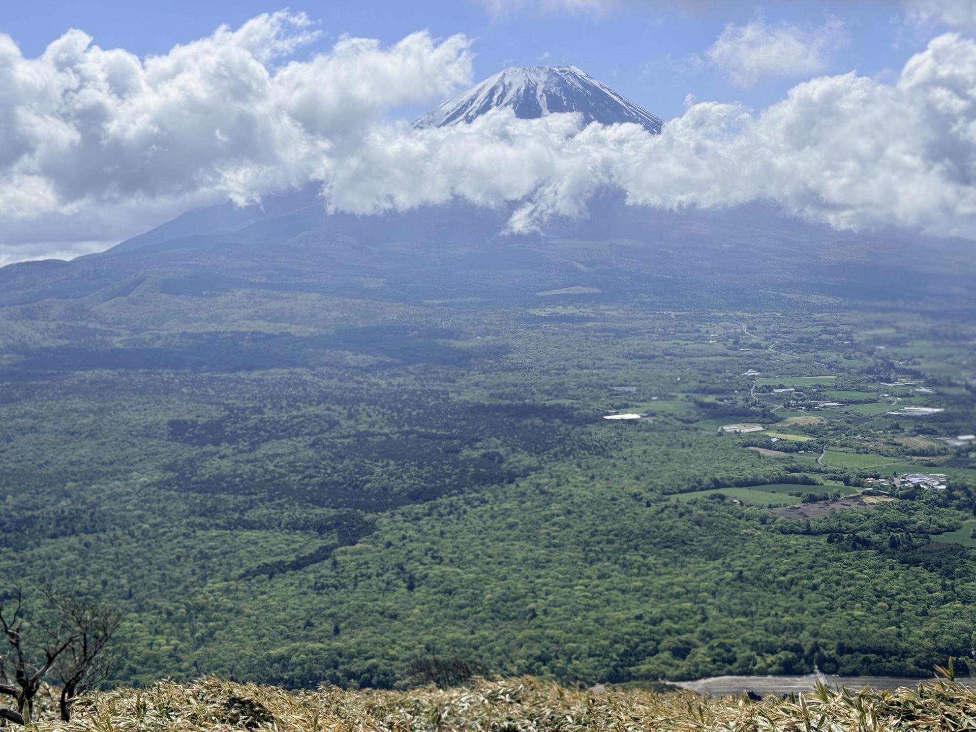 時々雲の間から富士山が顔を覗かせてくれる🗻 雲が無く、すっきりと晴れ渡った日は本当に素晴らしい景色を