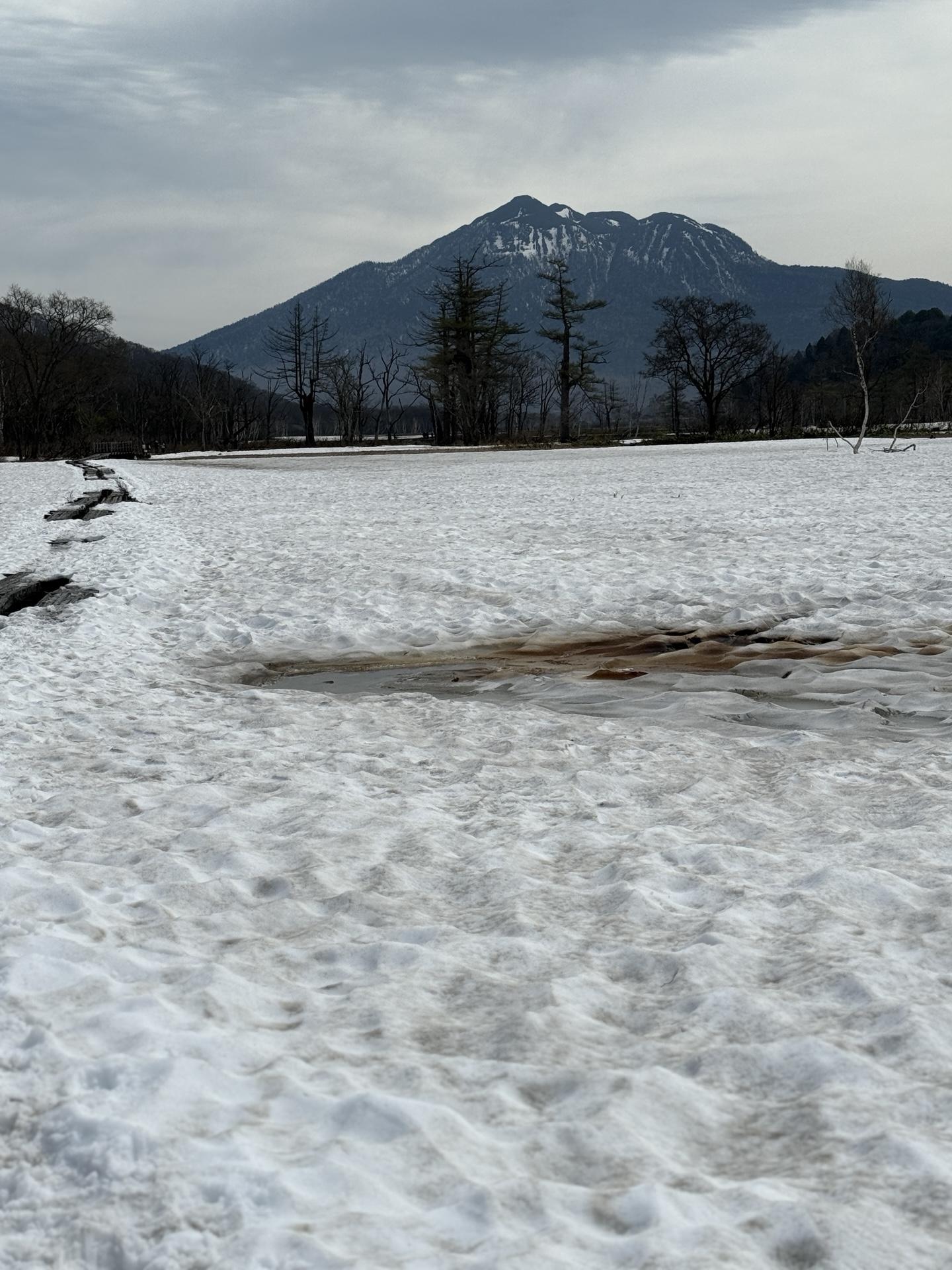 尾瀬ヶ原 燧ヶ岳 雪景色