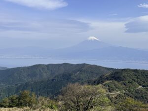 達磨山 登山完全ガイド(伊豆稜線×富士山絶景)