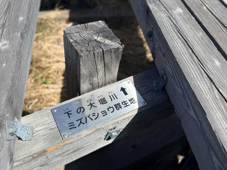 木道脇の足元にある「下の大堀川/ミズバショウ群生地」の標識 9時21分撮影