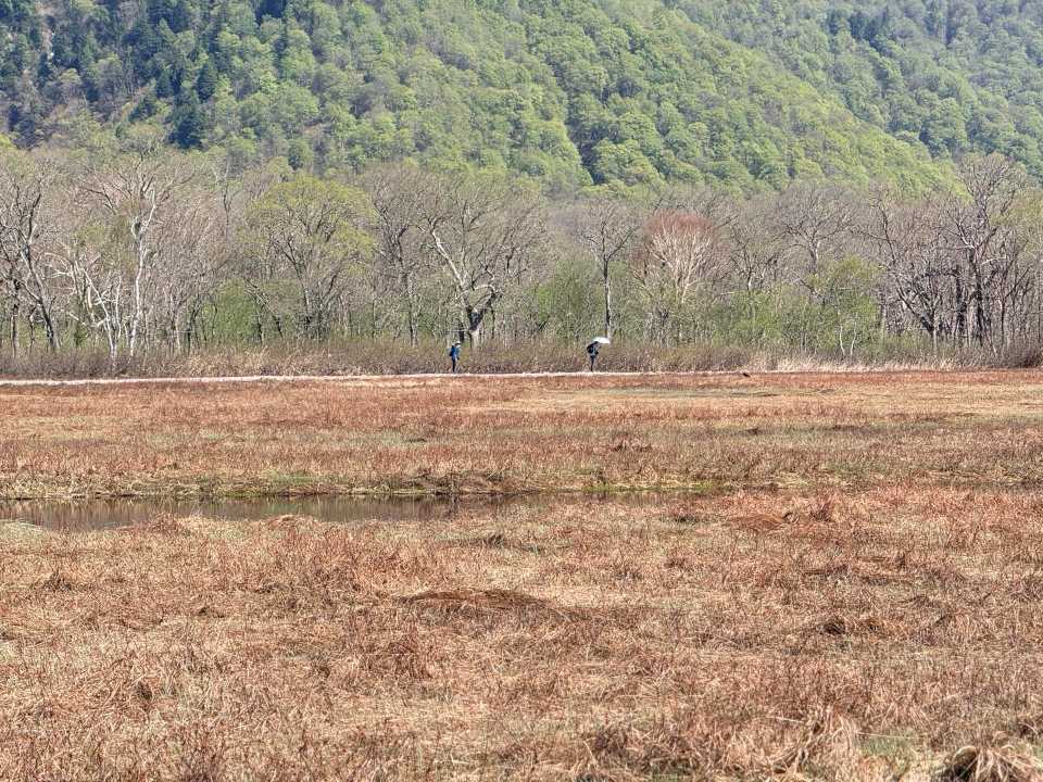 東電小屋方面を歩く人