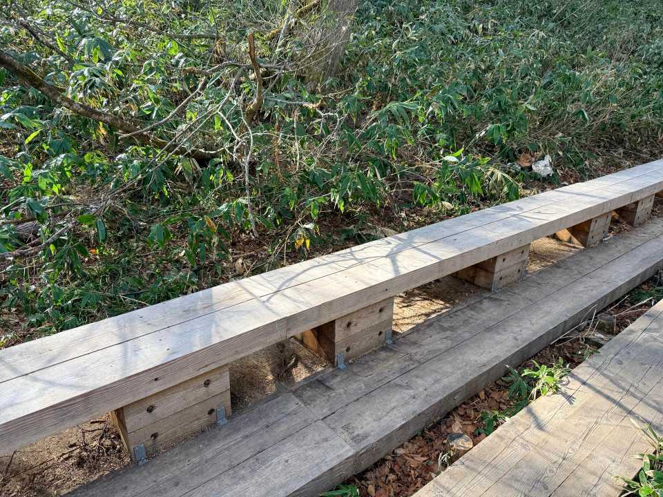 前半はベンチがたくさん（鳩待峠から山の鼻までの区間に6
