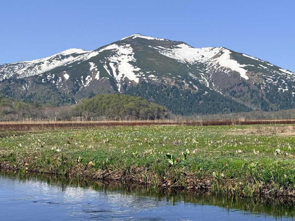 下の大堀川からの絶景 9時23分撮影 手前の川 中段のミズバショウ 奥に至仏山