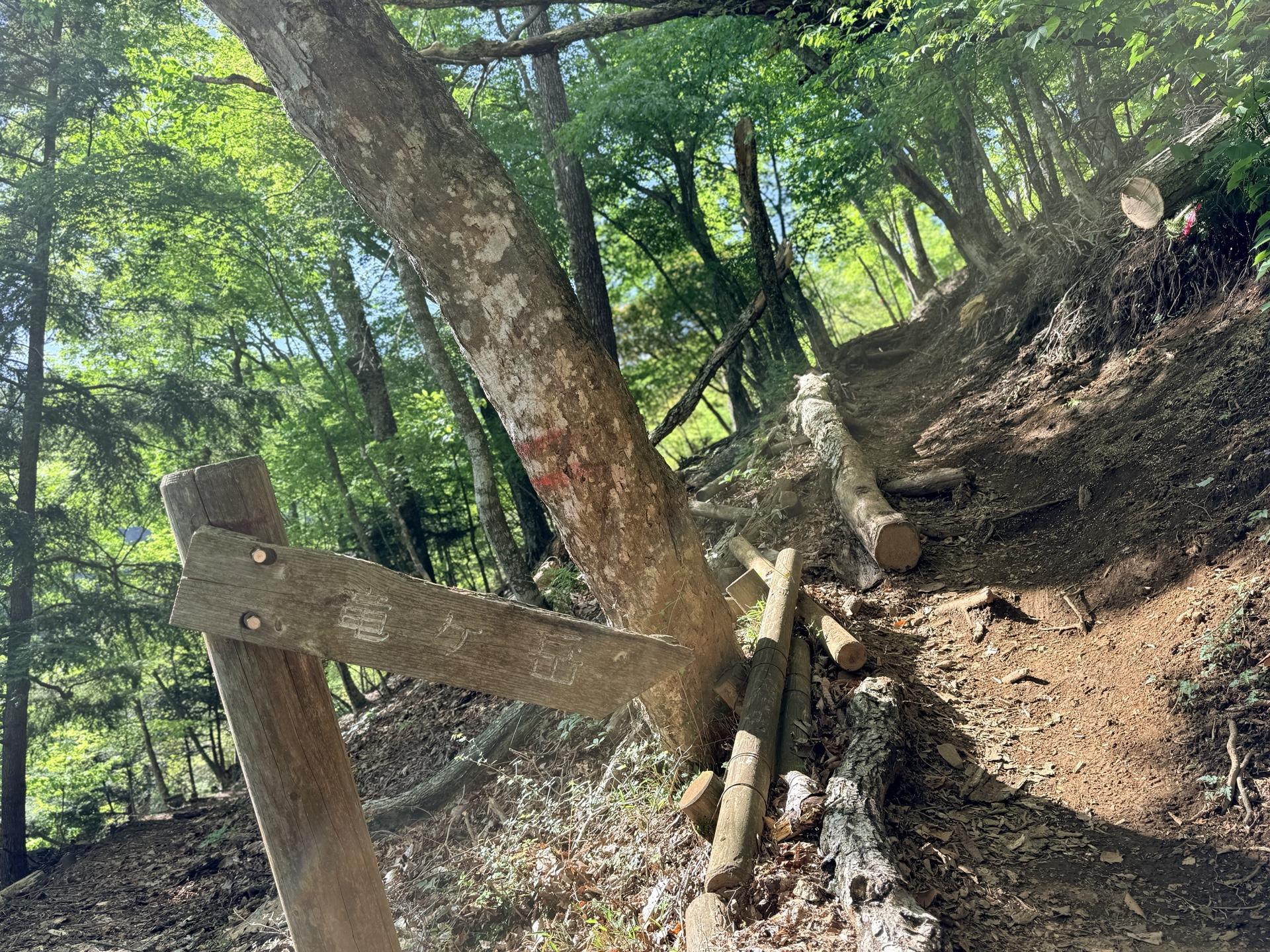 ここにようやく看板🪧を発見💡 竜ヶ岳の文字が見えるのでここを入っていく さきほどの道路から分かれる所