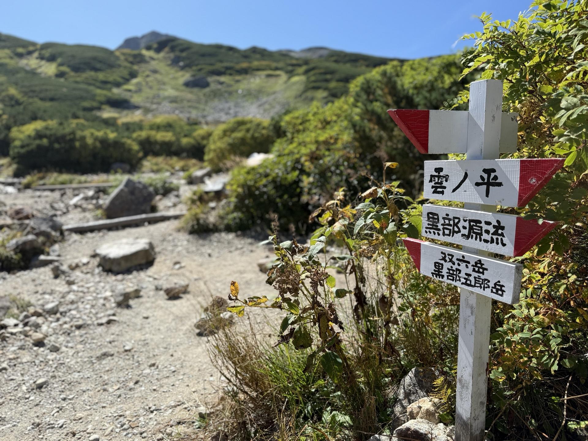 巻道へ