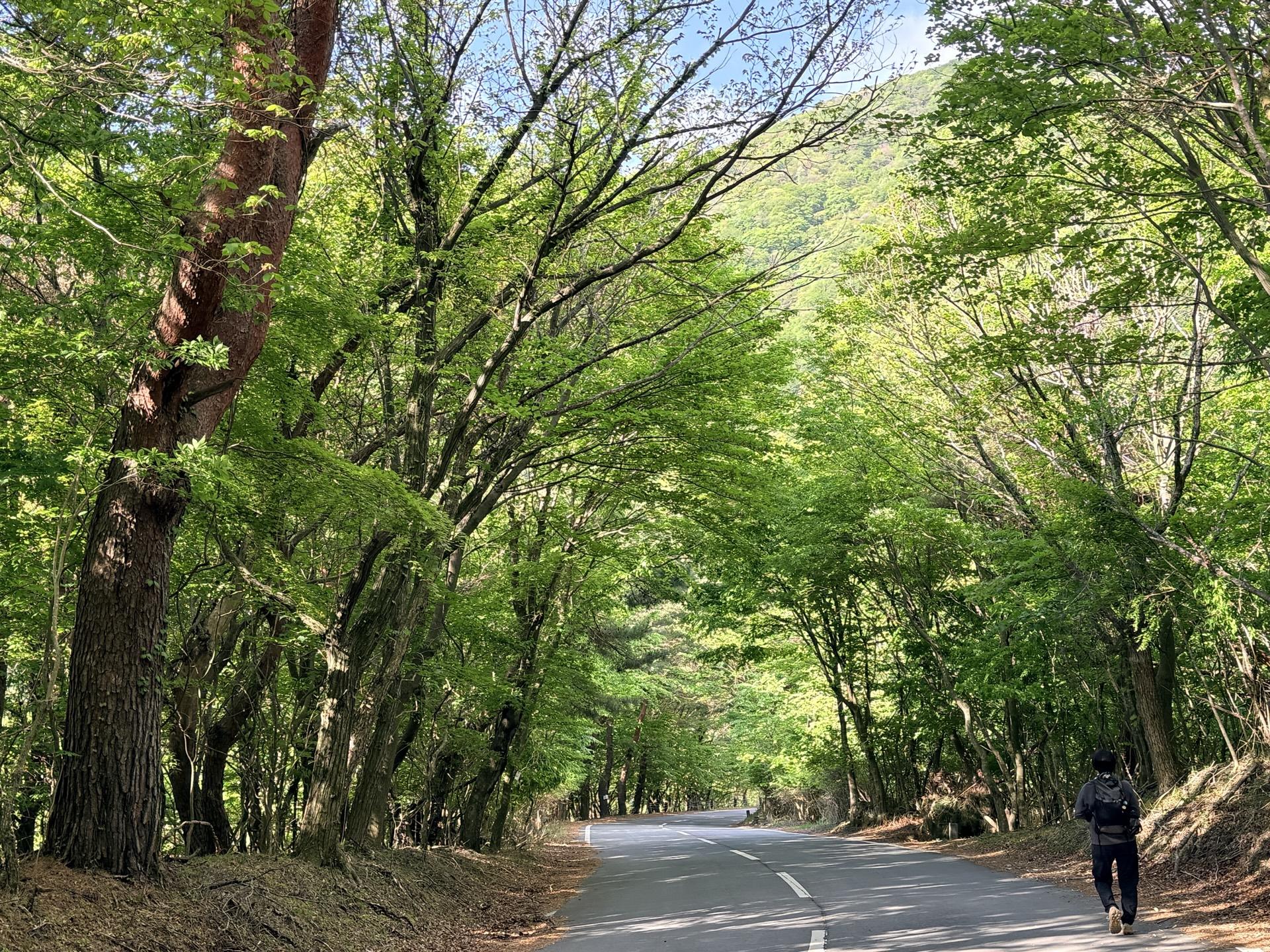 まずはキャンプ場駐車場から道路に沿って歩いていく