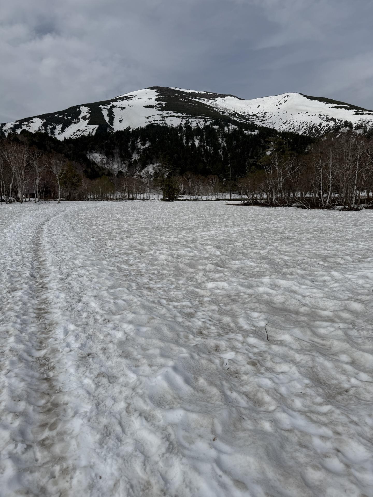 尾瀬ヶ原 至仏山 雪景色 2025年5月
