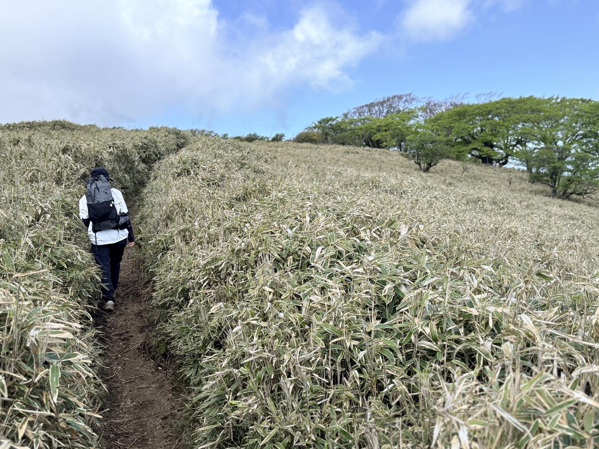 笹原の稜線を山頂に向かって歩いていく 雨の後などは足元がぐちゃぐちゃになりそう ゴミのポイ捨て(タバ