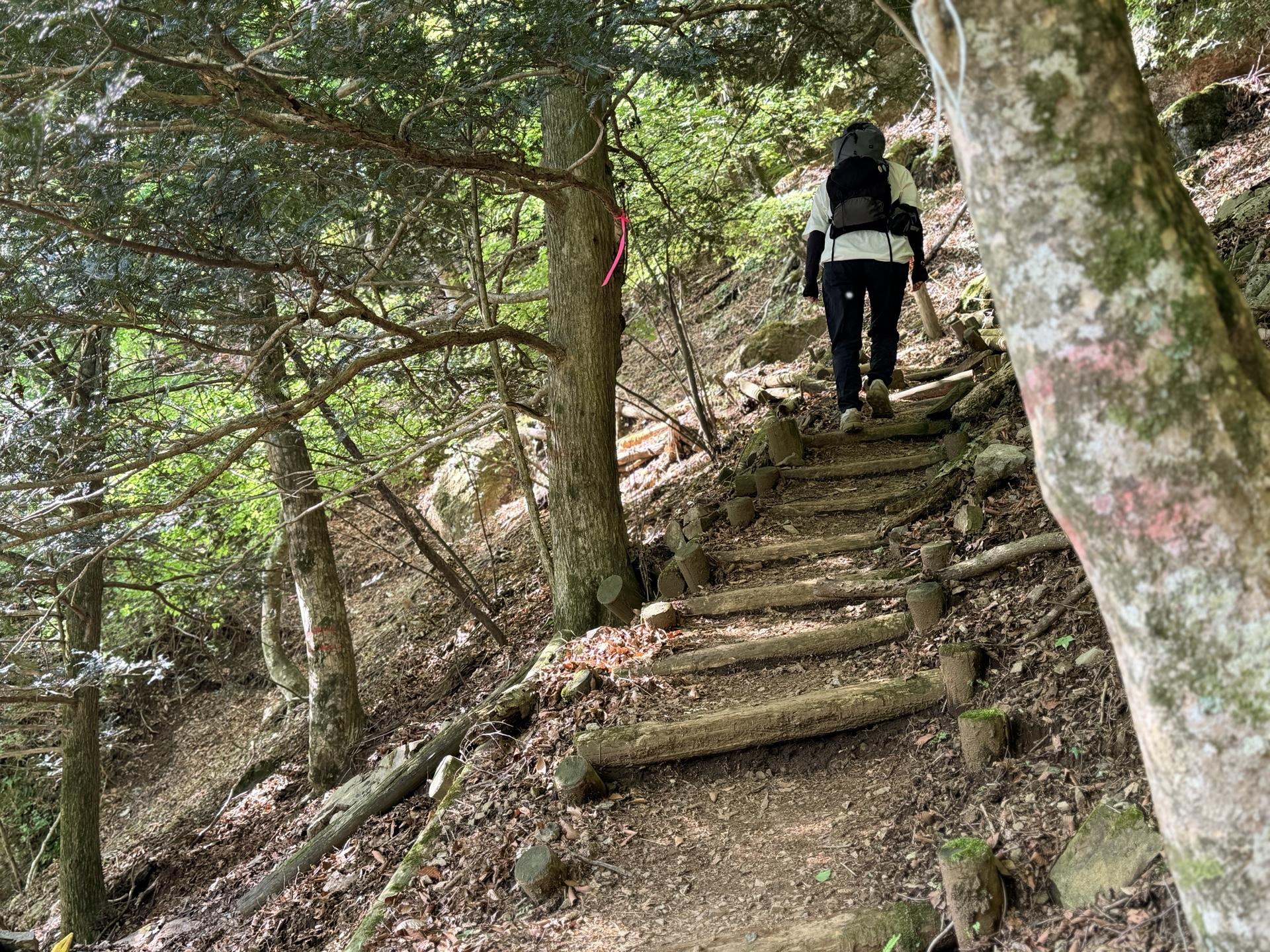 登山道に入るとピンクのマーキングがちらほら