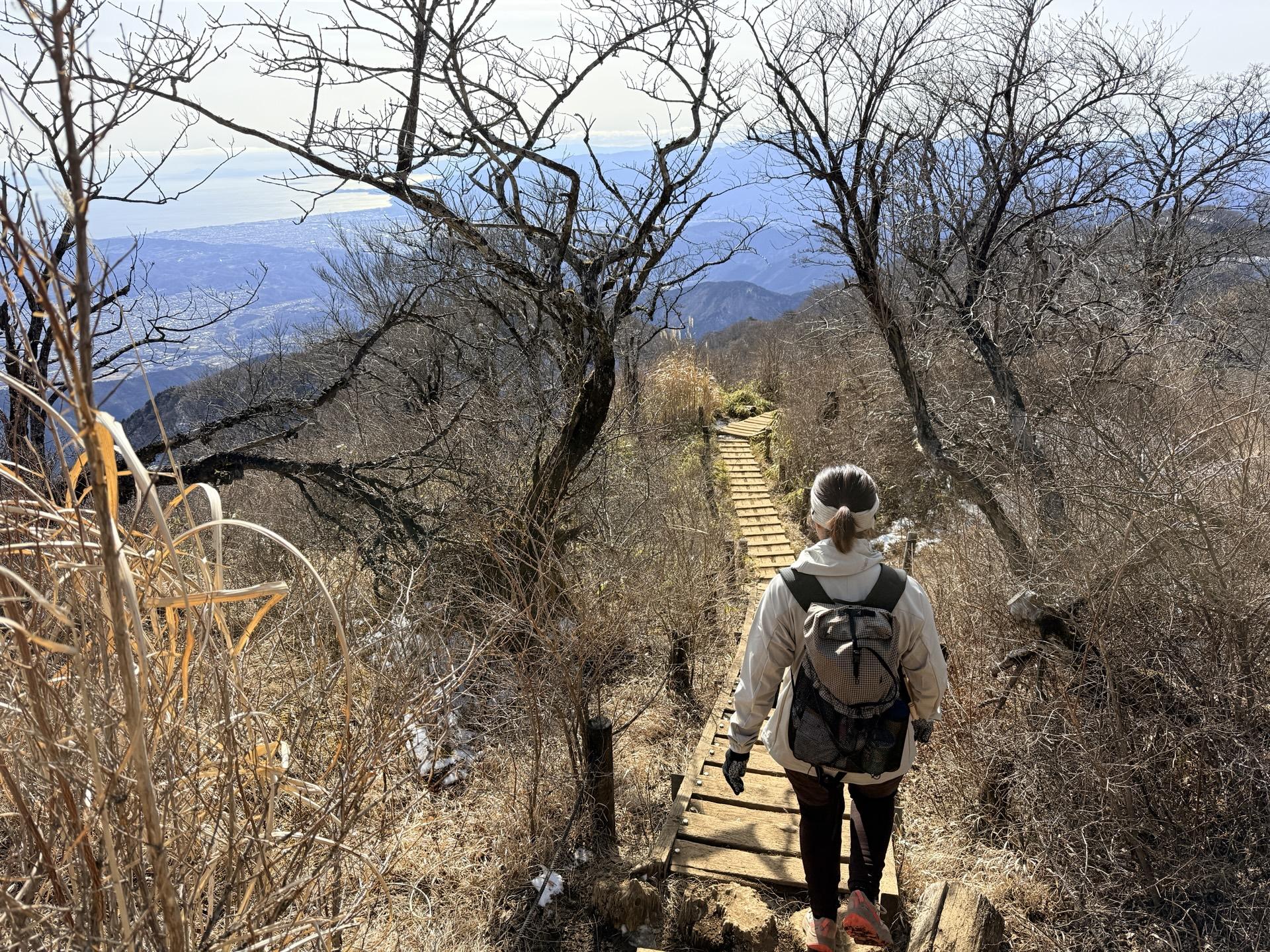 大倉尾根 下山開始