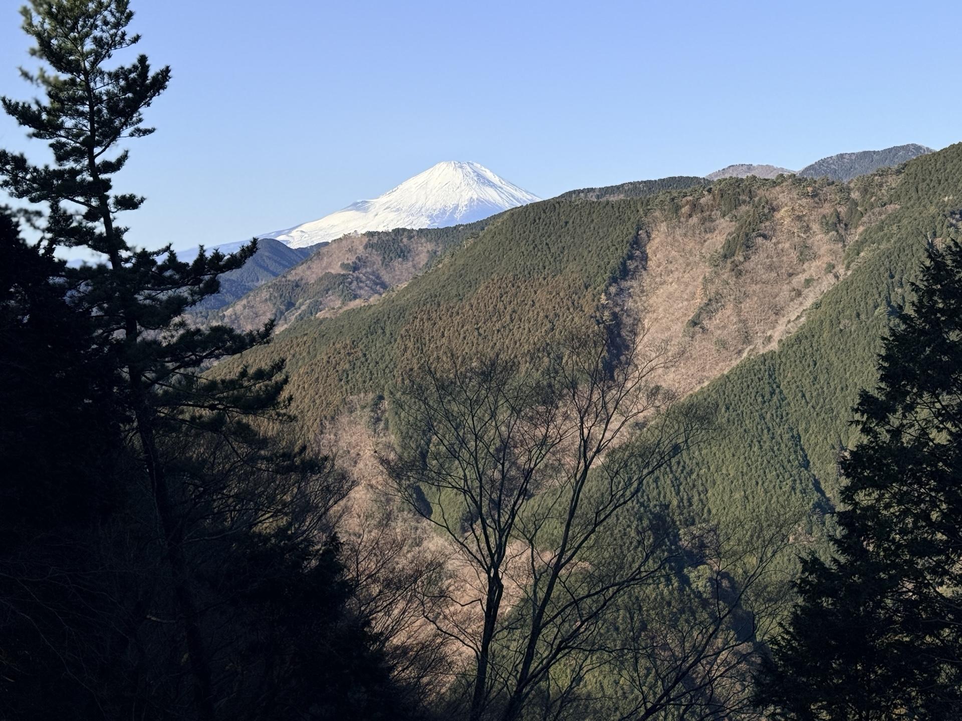 富士山が見えた！