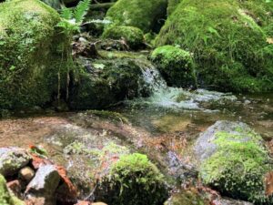 御岳山×日の出山 縦走ガイド