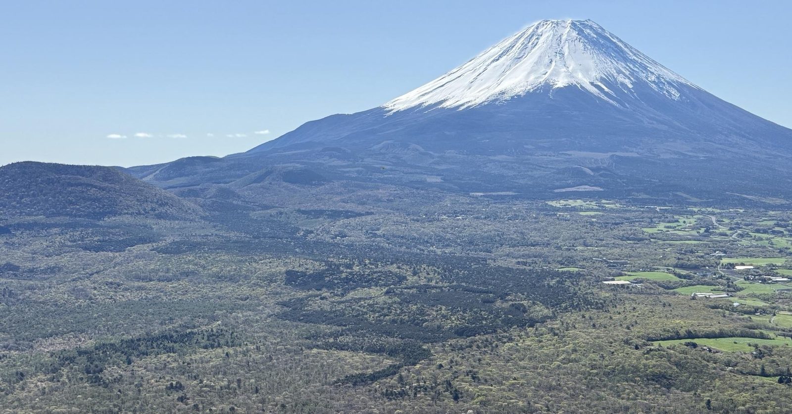 竜ヶ岳 新緑×ミツバツツジ×富士山