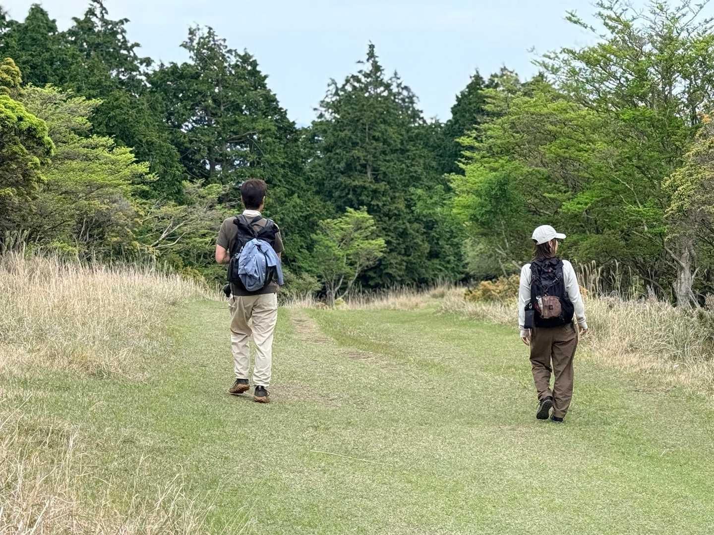 芝生の上を歩いて下山