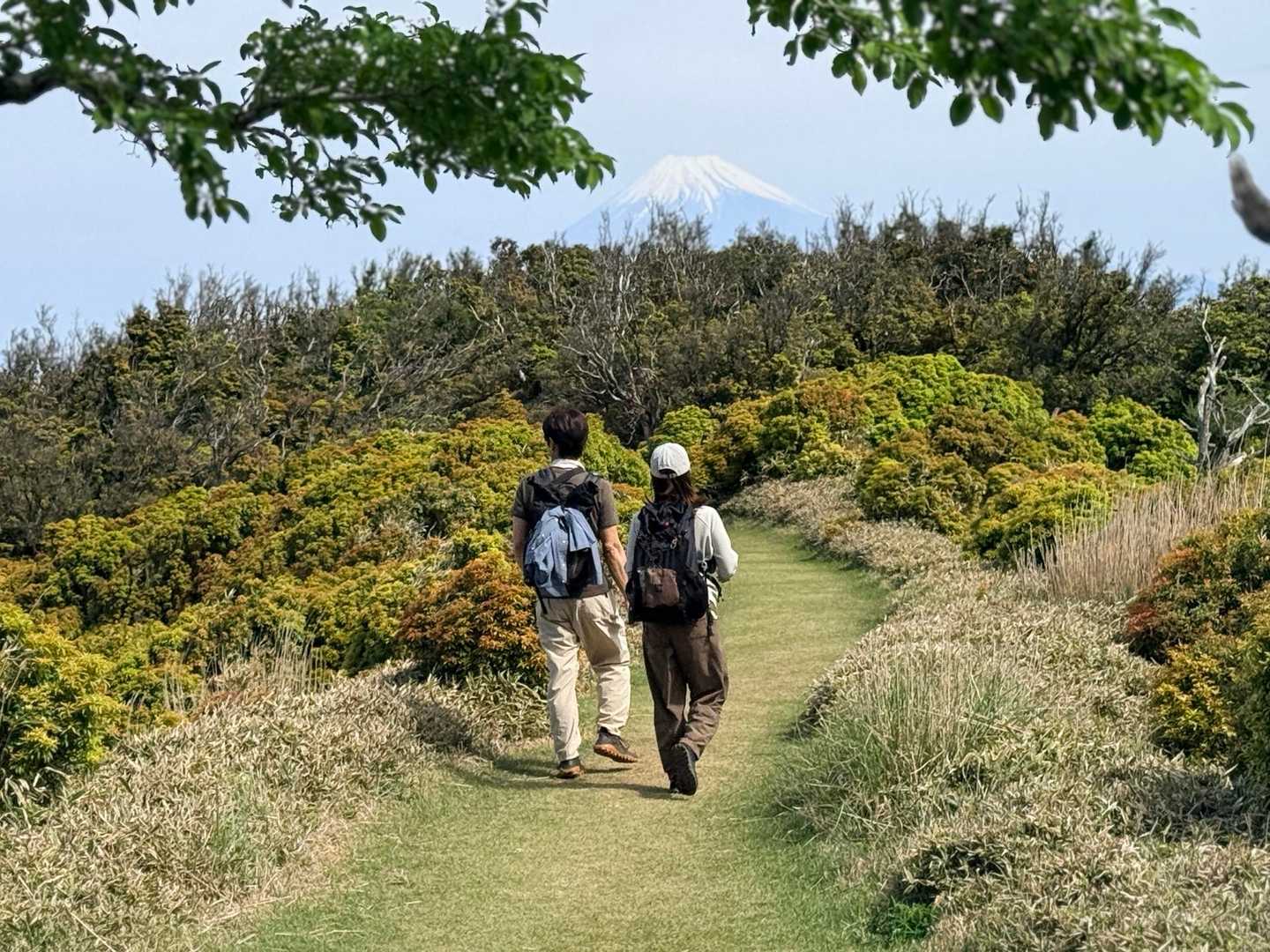 芝生の稜線